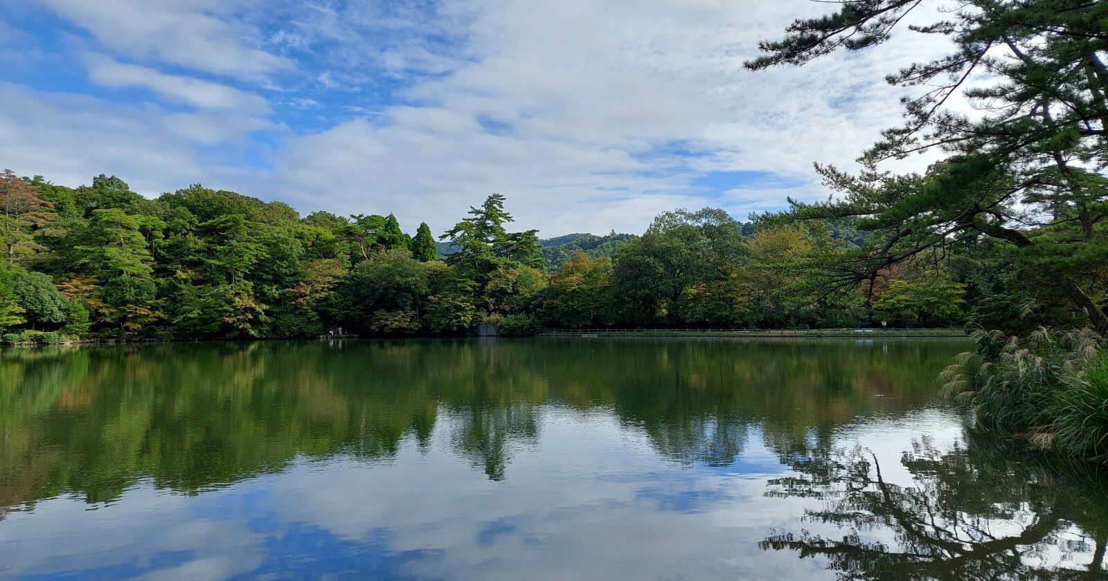 所得税の賃上げ促進税制_全事業者向けの特例