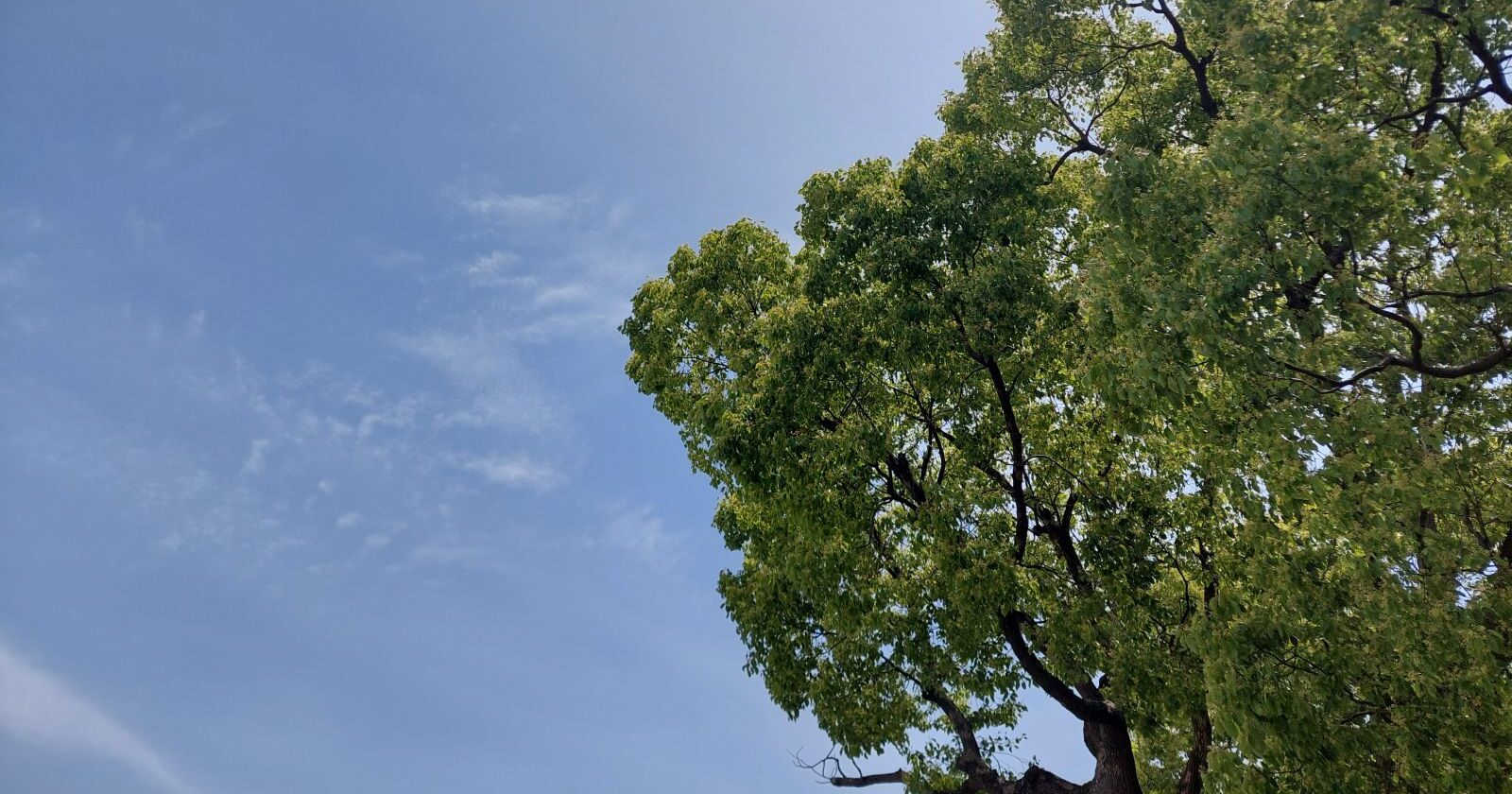 消費税のリース譲渡の経過措置_施行令_附則第3条第3項_その3