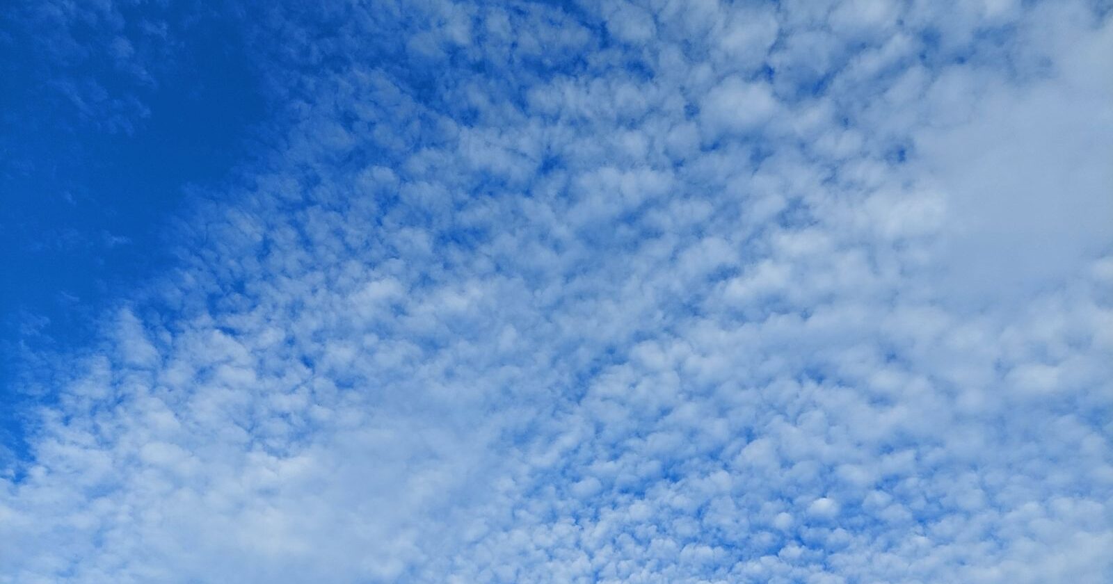 配偶者の相続税が減る特例