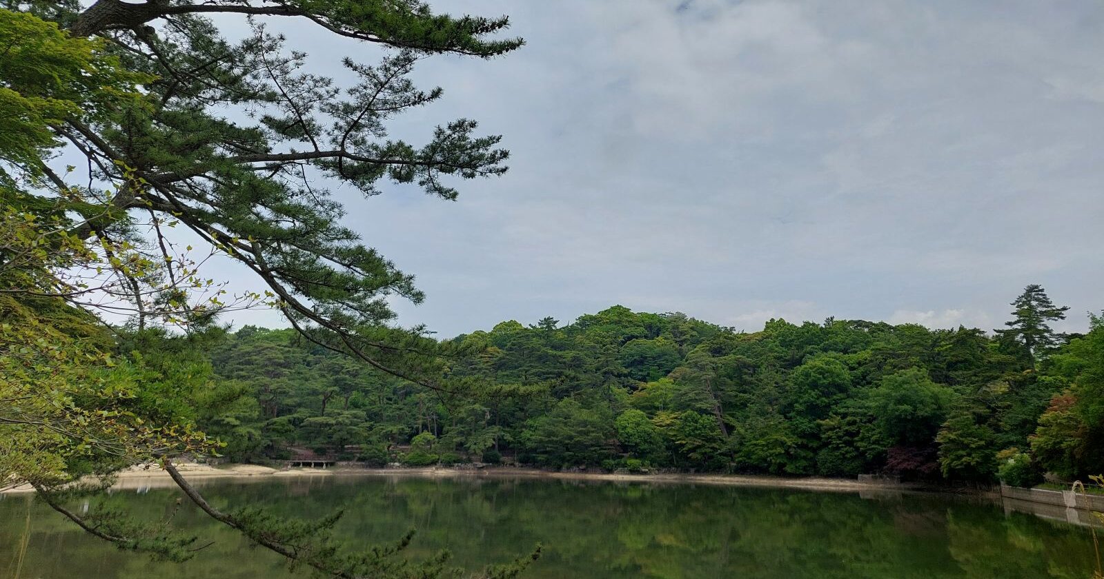 相続税を納付する必要がある人（相続時精算課税適用者）