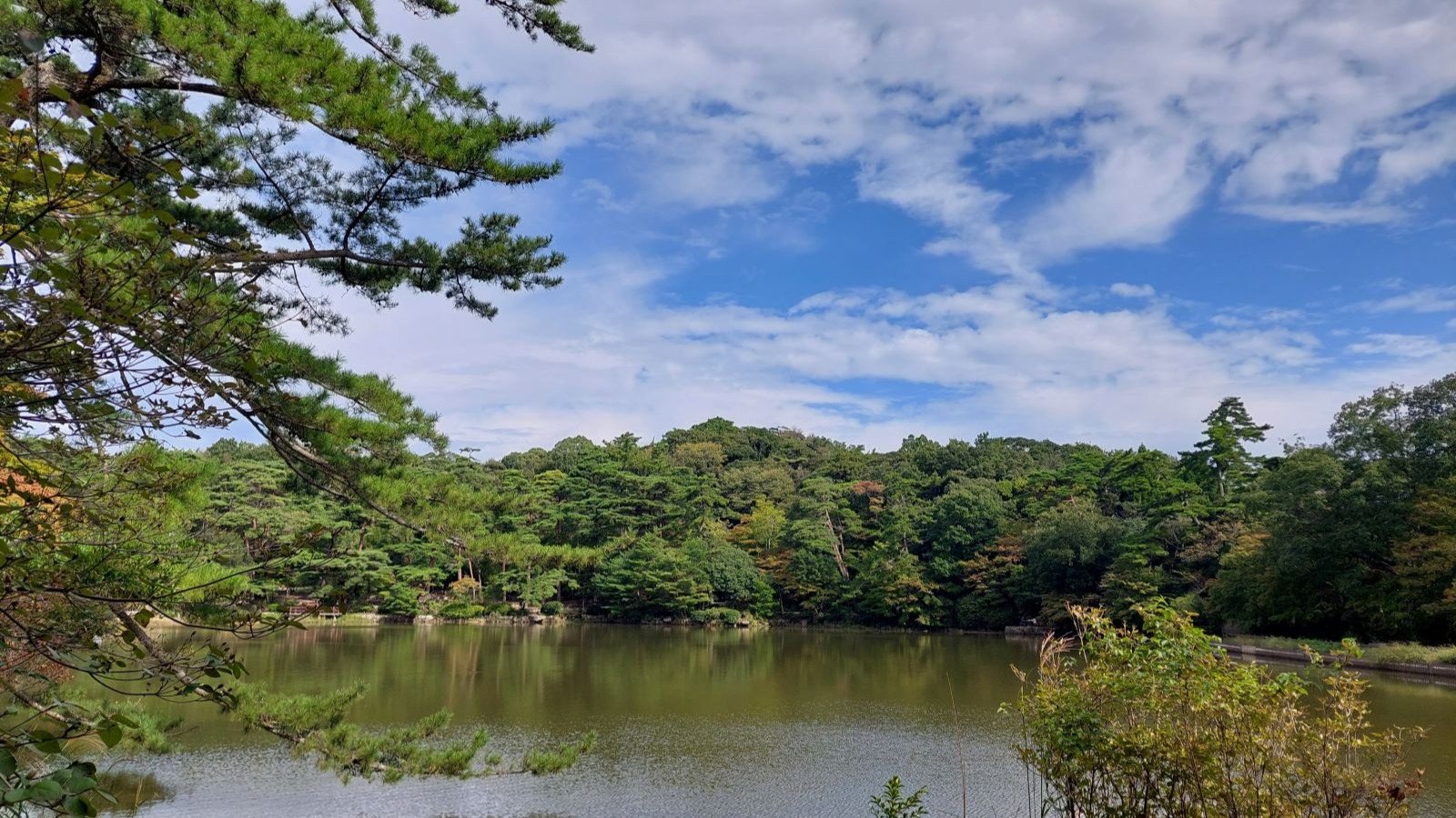 適格合併と適格分割型分割があった場合の計算