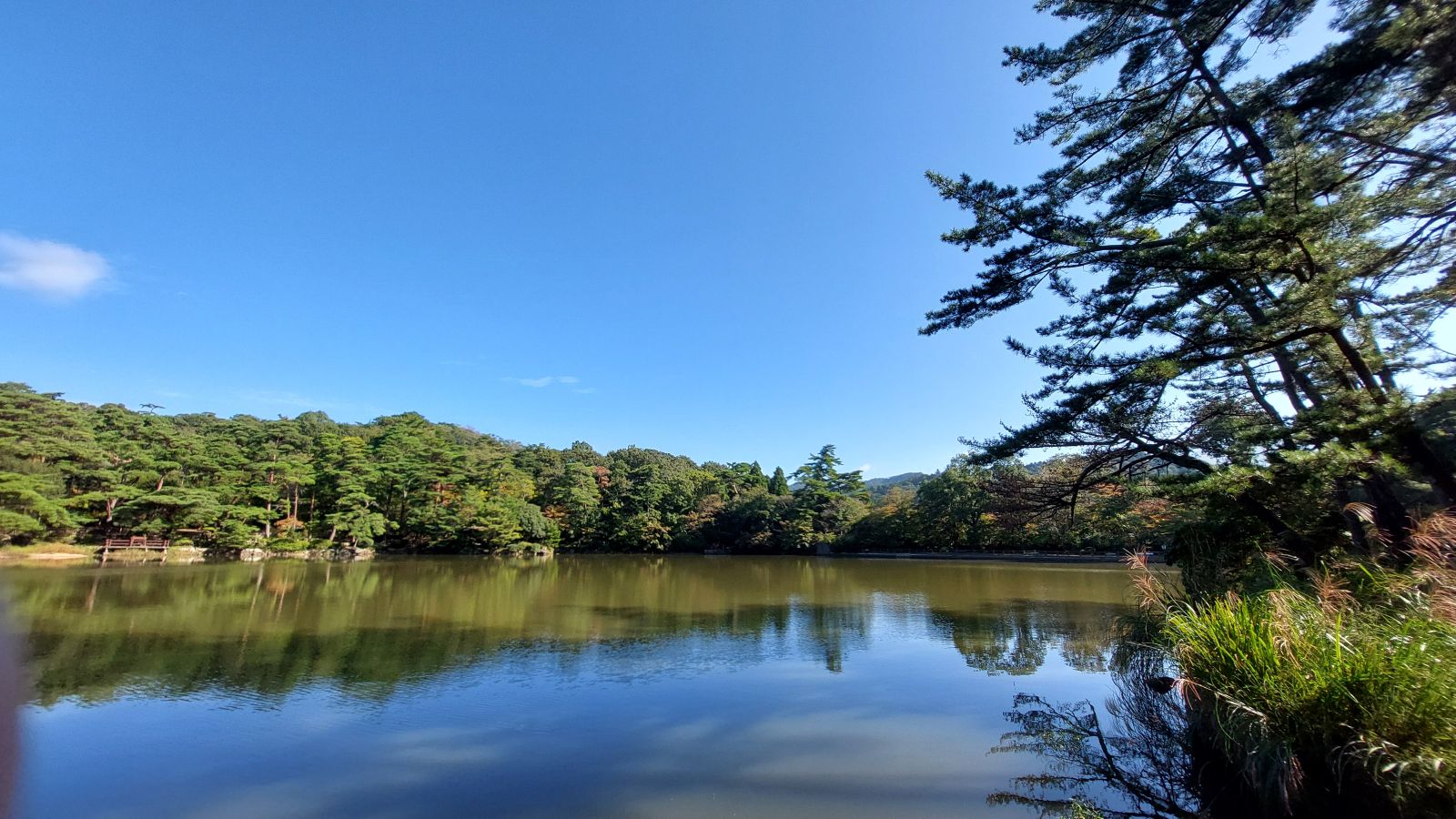 分割型分割と分社型分割の定義