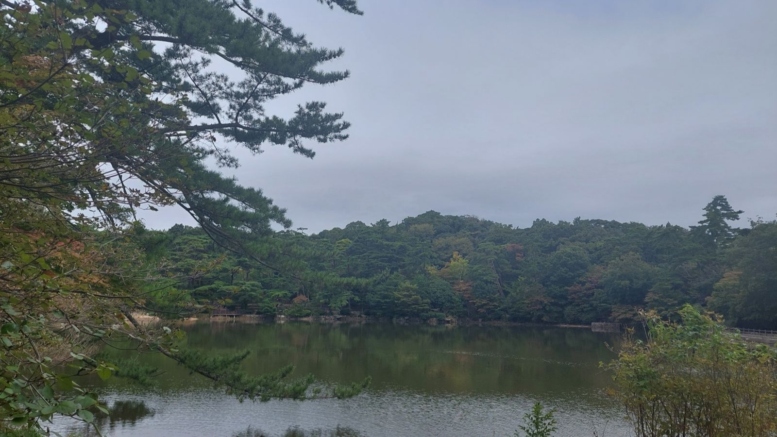 適格分社型分割があった場合の計算