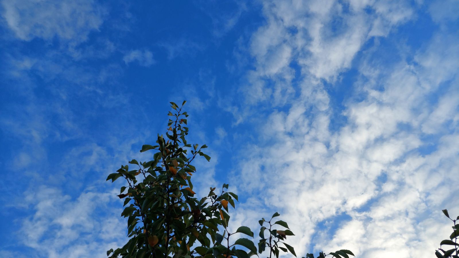 分割型分割があった場合の資本金等の額