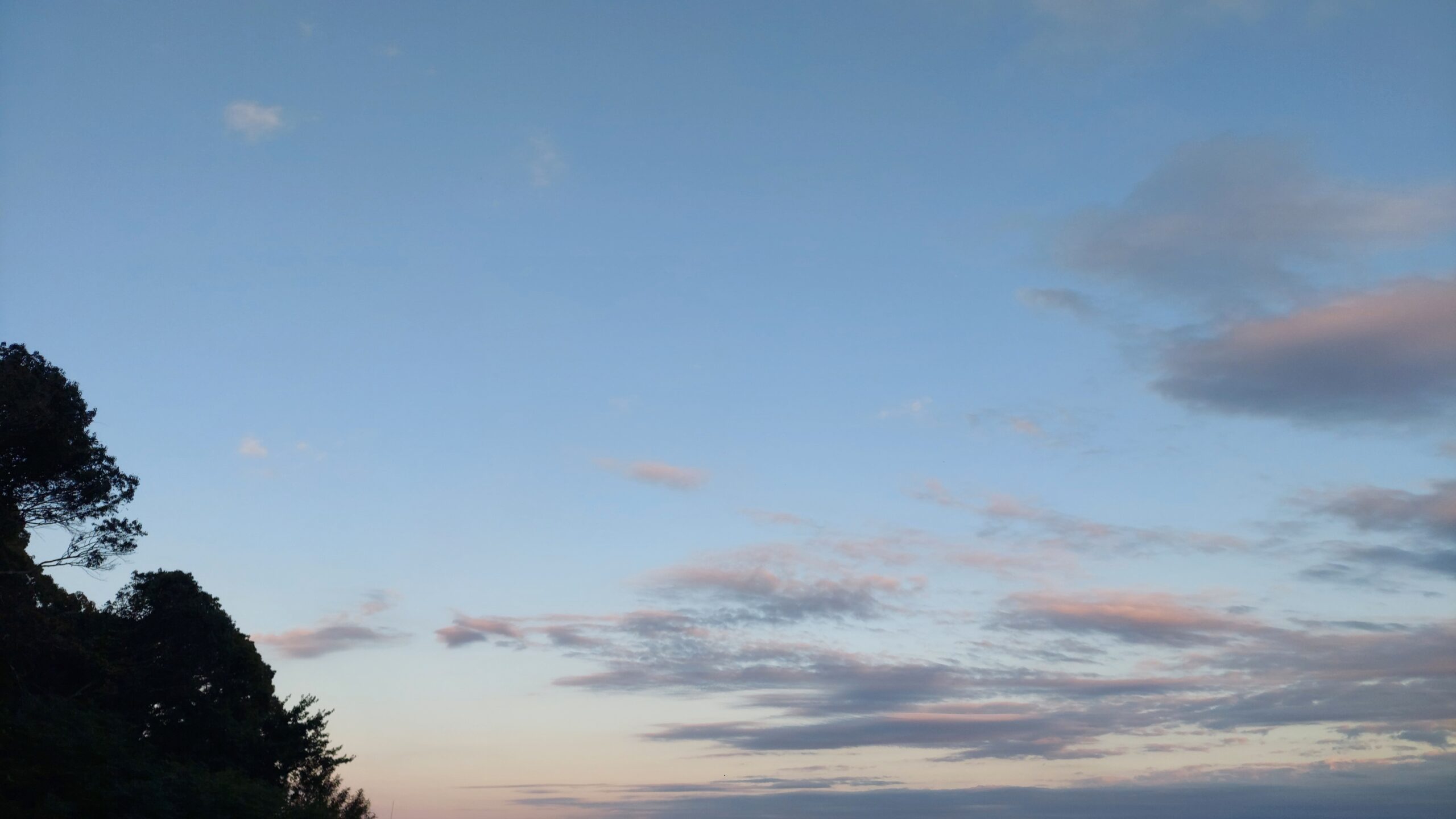 合併があった場合の資本金等の額