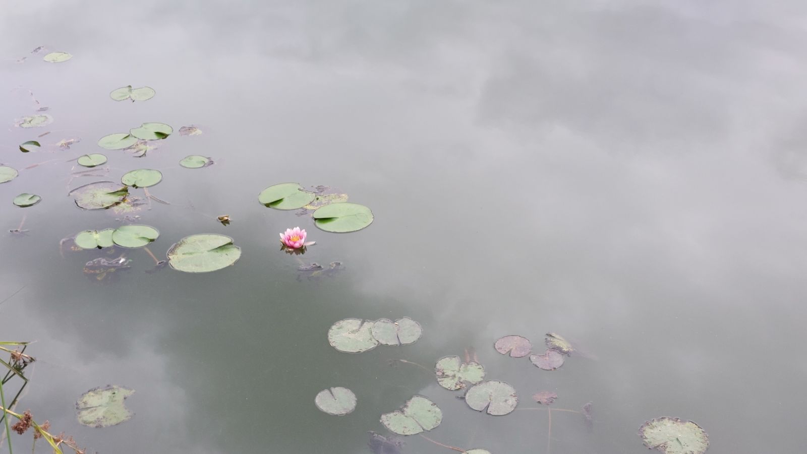 適格分割型分割があった場合の利益積立金額