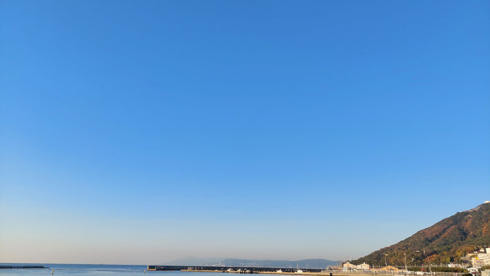 譲渡制限付株式を対価とする費用の特例