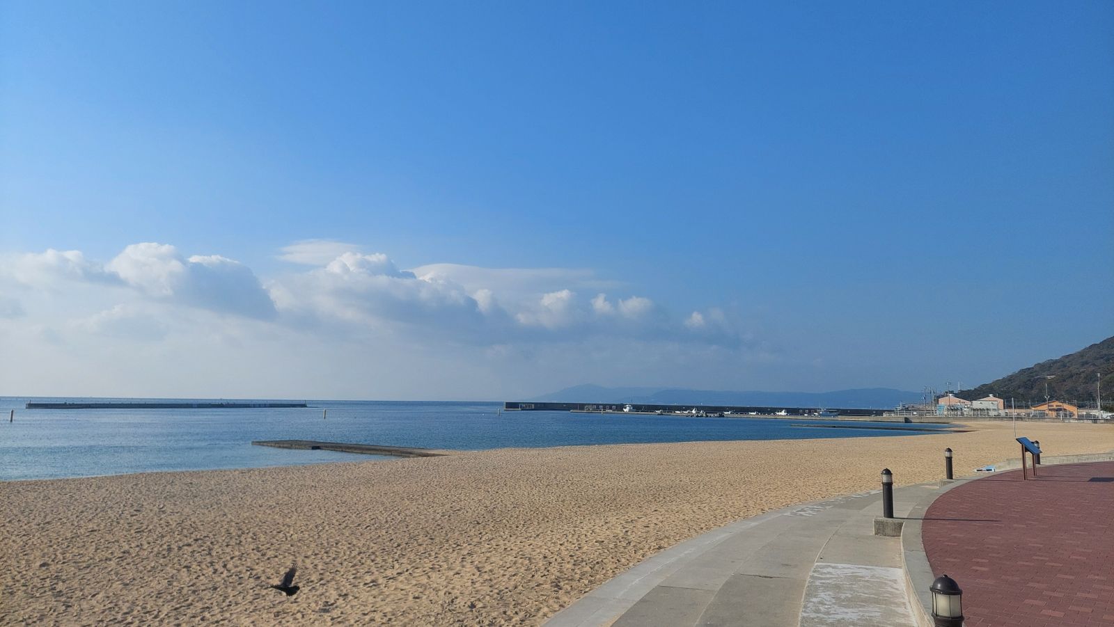 自宅等を売却したときの損失に関する所得税の特例_手続き